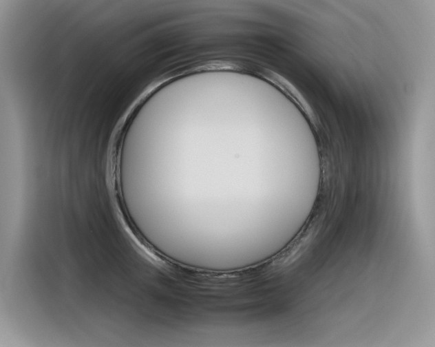X0000116350851200912011037