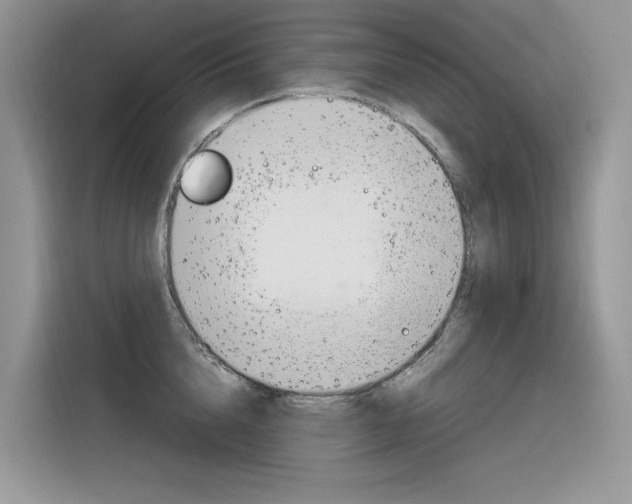 X0000116350856200912011037