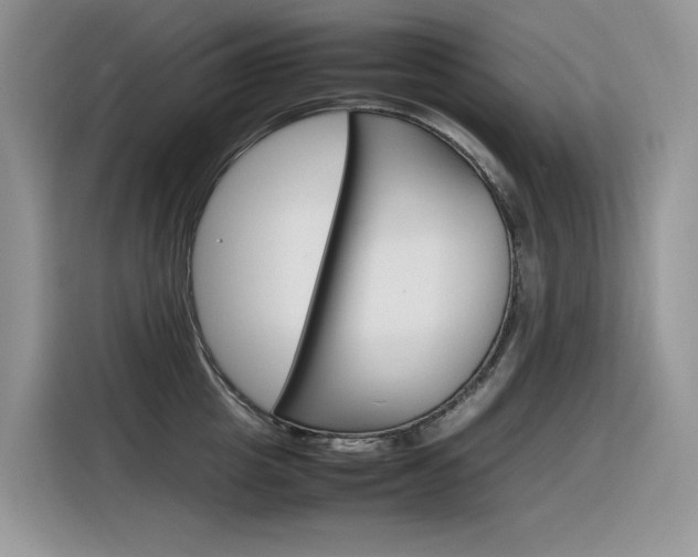 X0000116350857200912011037