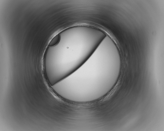 X0000116350858200912011037