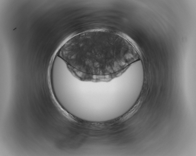 X0000116350859200912011037