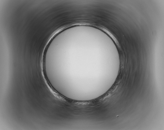 X0000116350861200912011037