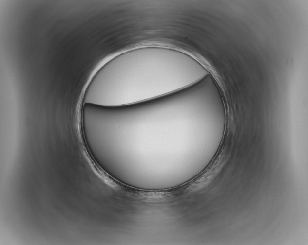 X0000116350862200912011037