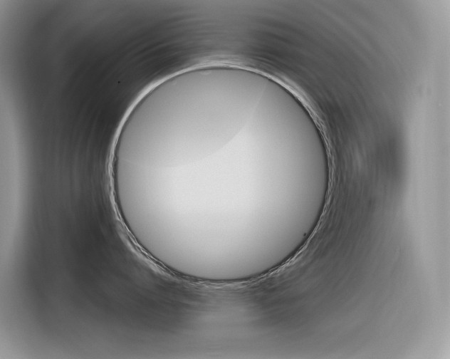 X0000116350864200912011037