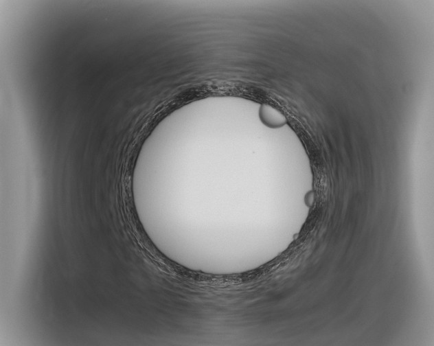 X0000116350865200912011036