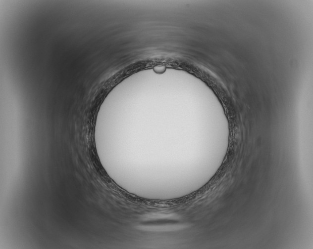 X0000116350869200912011036