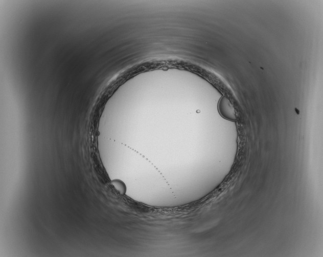 X0000116350871200912011036