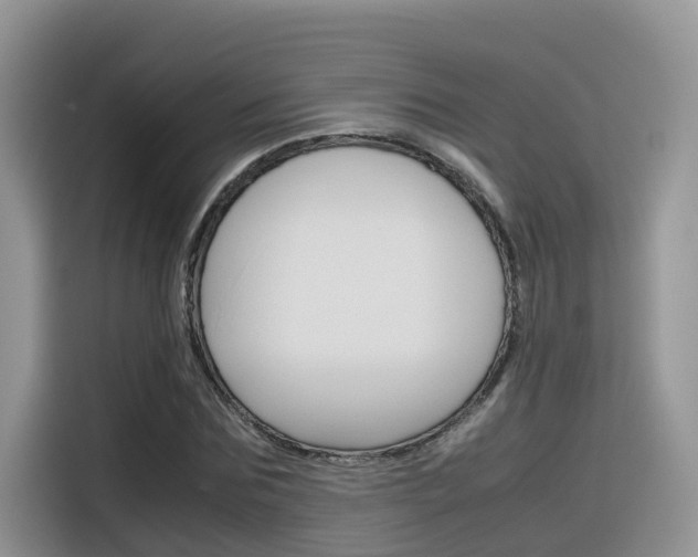 X0000116350875200912011036