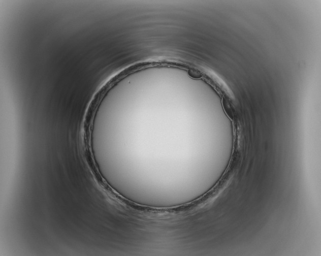 X0000116350876200912011036