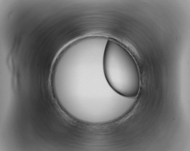 X0000116350880200912011036