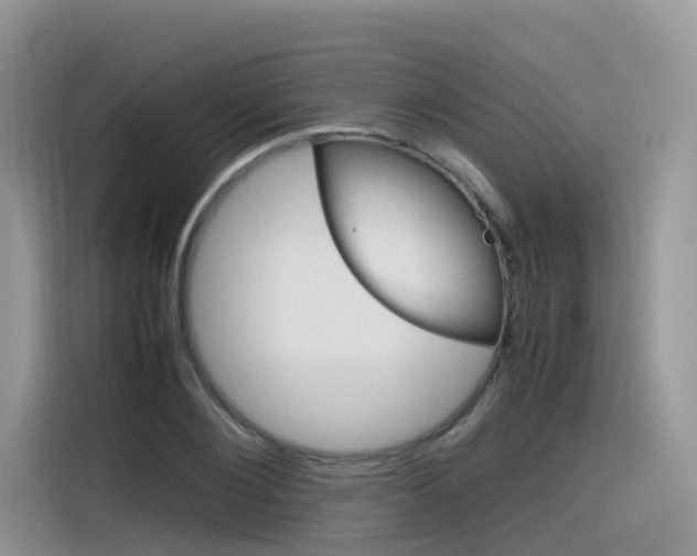 X0000116350884200912011036