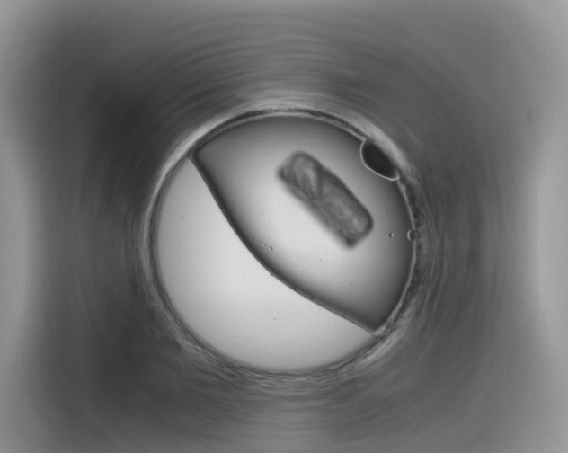 X0000116350885200912011036