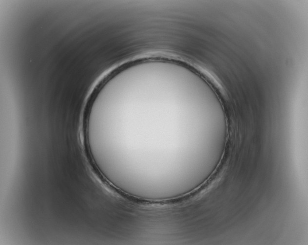 X0000116350888200912011036