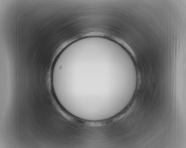 X0000116350890200912011036