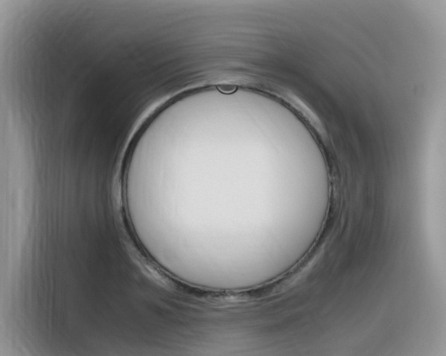 X0000116350891200912011036