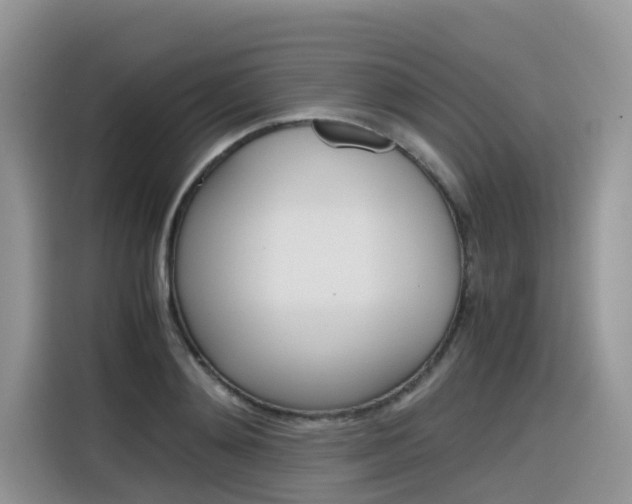 X0000116350892200912011036