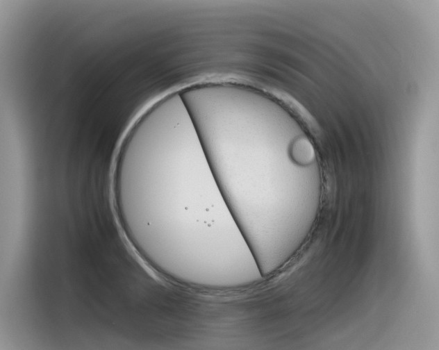 X0000116350894200912011036