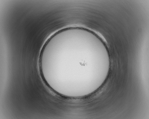 X0000116350895200912011036