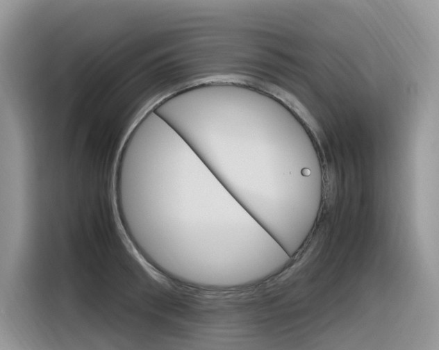 X0000116350898200912011036
