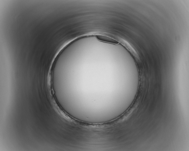 X0000116350900200912011036