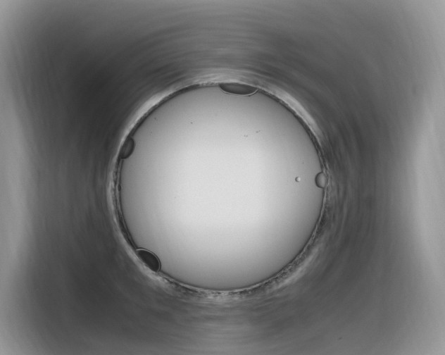 X0000116350901200912011036