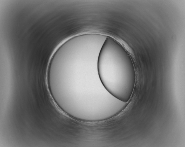 X0000116350904200912011036