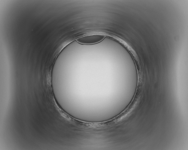 X0000116350905200912011036