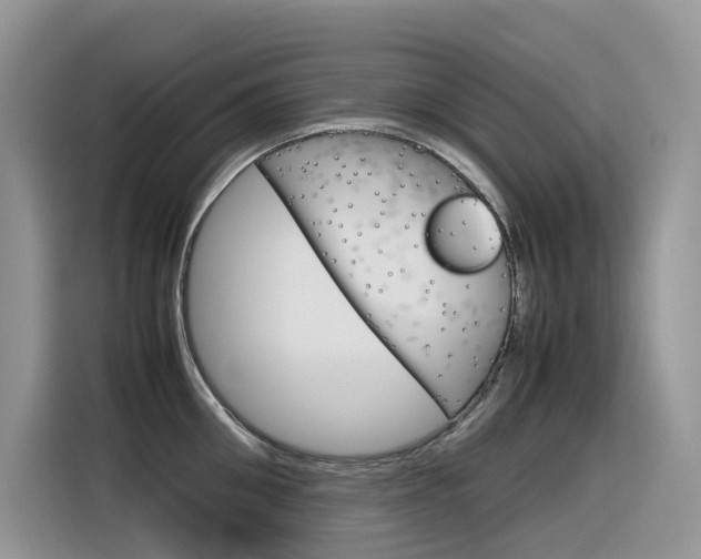 X0000116350906200912011036