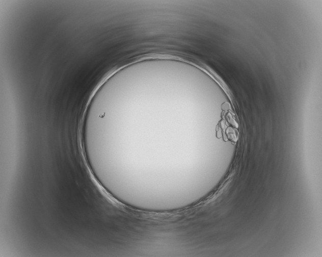 X0000116350909200912011036