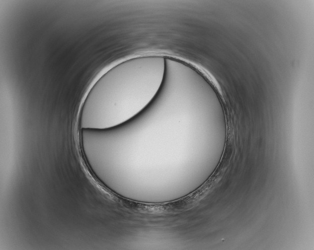 X0000116350911200912011036