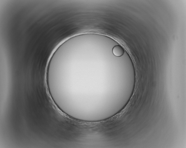 X0000116350912200912011036