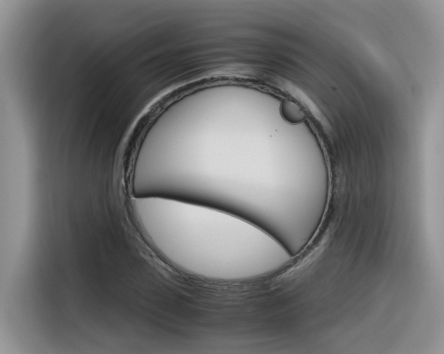 X0000116350923200912011035