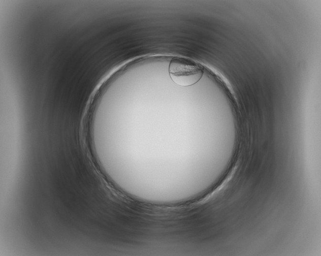 X0000116350925200912011035