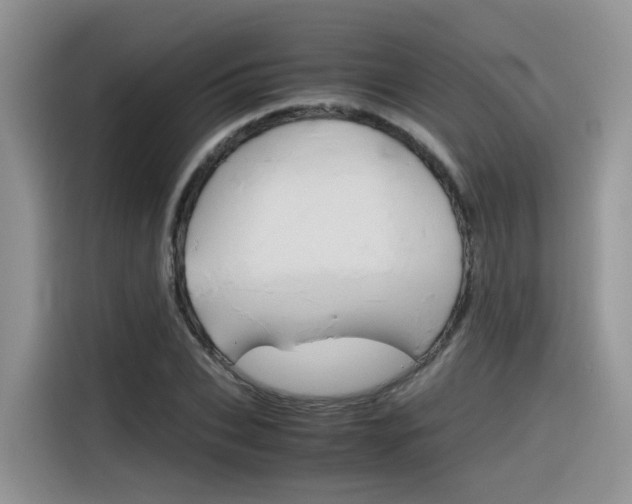 X0000116350927200912011035