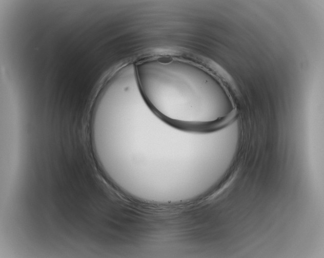 X0000116350930200912011035