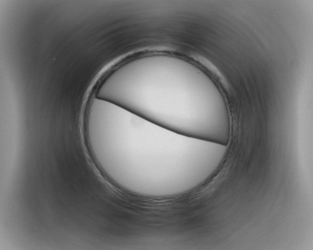 X0000116350935200912011035