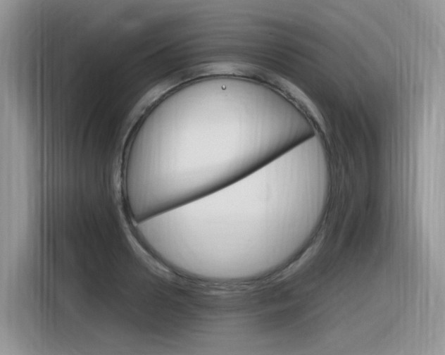 X0000116350938200912011035
