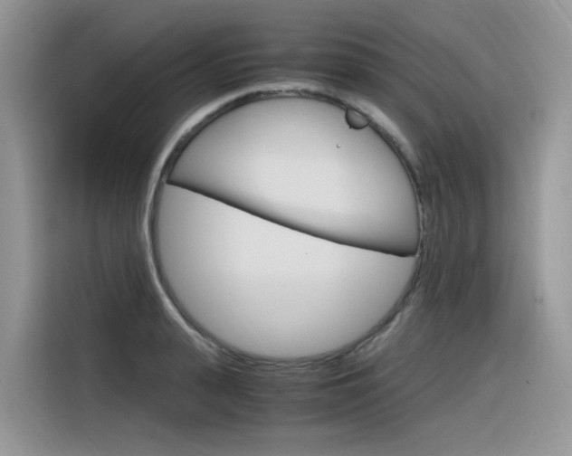 X0000116350943200912011035