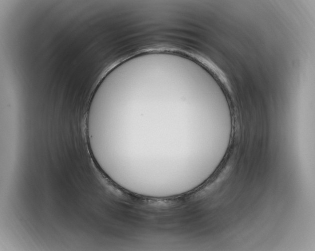 X0000116350945200912011035