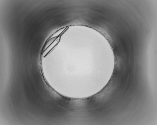 X0000116350950200912011035