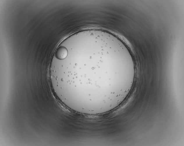 X0000116350953200912011036