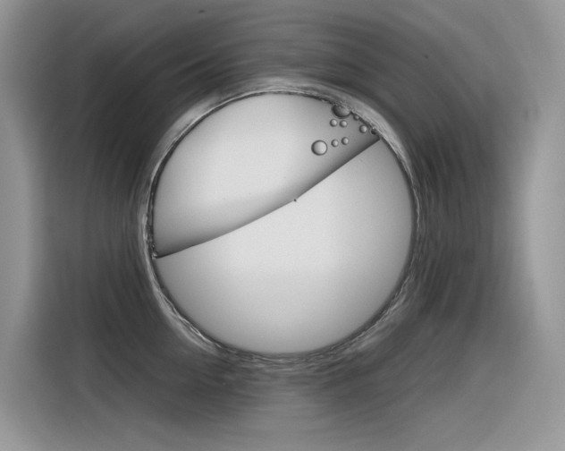 X0000116350954200912011036