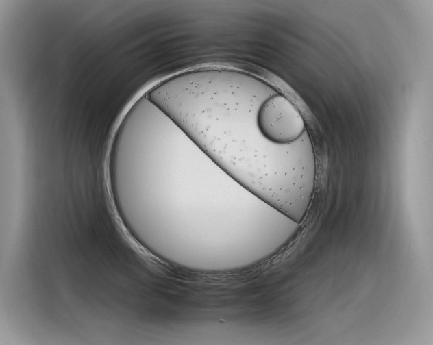 X0000116350955200912011036