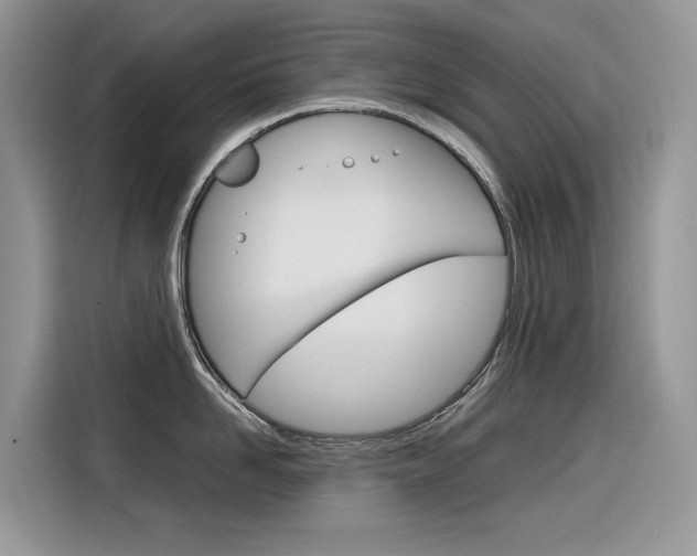 X0000116350958200912011036