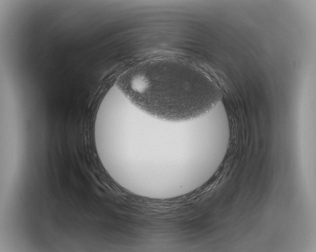 X0000116350964200912011035