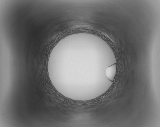 X0000116350965200912011035