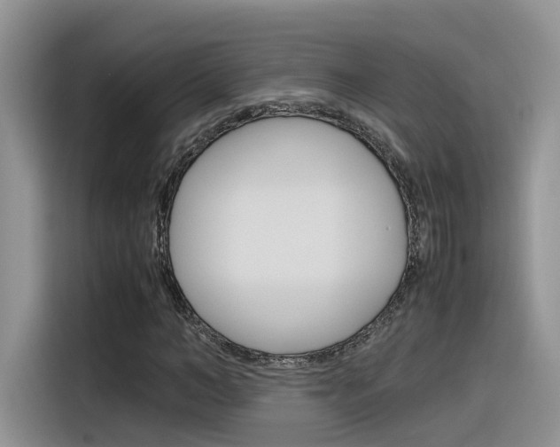 X0000116350966200912011035