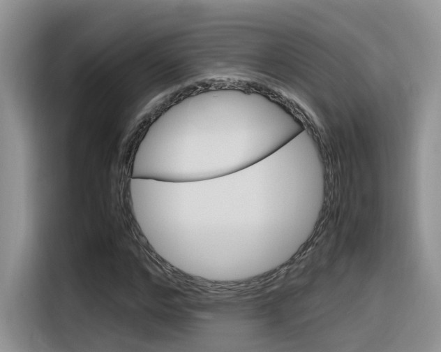 X0000116350968200912011035
