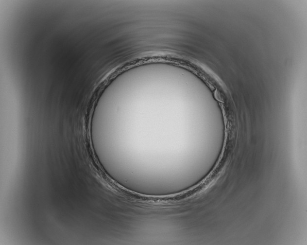 X0000116350969200912011035