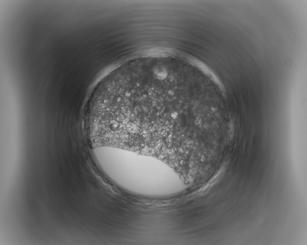 X0000116350970200912011035